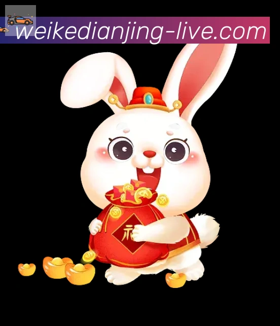 奖项证书